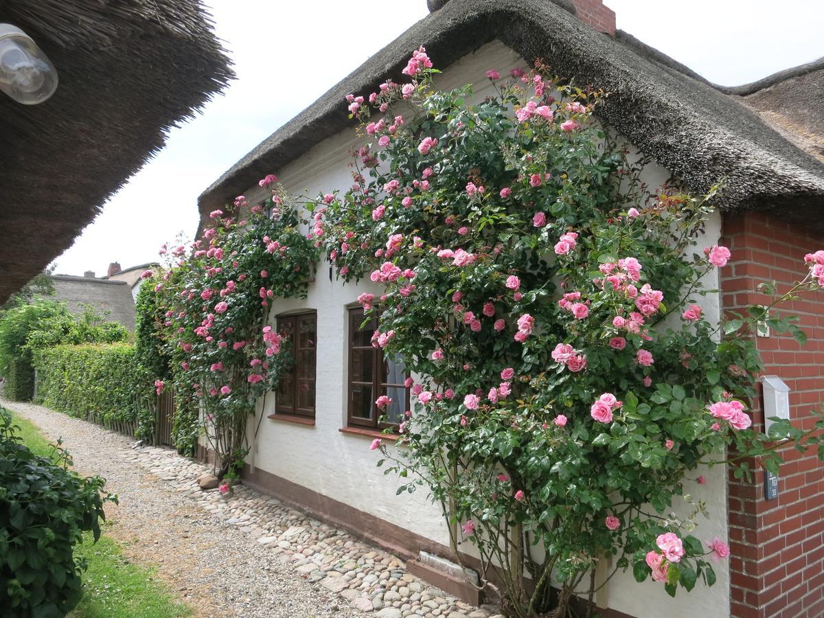 Haus-An-De-Marsch Midlum (Schleswig-Holstein) Exterior foto